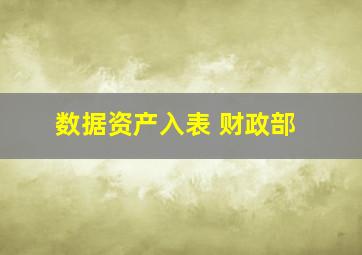 数据资产入表 财政部